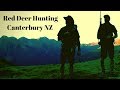 Red Deer Hunting Canterbury High Country NZ