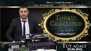 Tebriz Camaloglu - Tut agaci - Saratov 29.04.2018 - Video Studio - Samir -