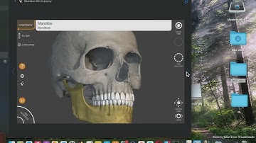 Skeleton 3D Anatomy Mac App Store (Basic Overview)