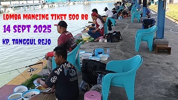 LOMBA MANCING IKAN EMAS PESERTA TERBATAS TIKET 500 RB.KP. TANGGUL REJO