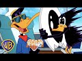 Looney Tunes en Français 🇫🇷 | Stupide Daffy ! | WB Kids Français