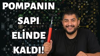 A.c.mnin Evrimi Çarpıtma Çabaları Pompanin Olayı Ne?