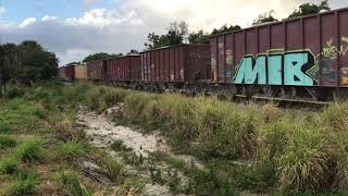 FEC TRAIN 336#651@7:41am
