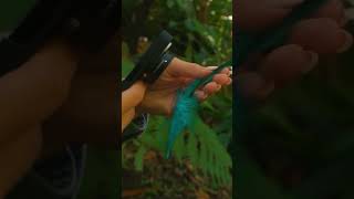 3 Gadgets That Are Next Level Cool