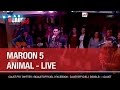 Maroon 5 - Animals - Live - C'Cauet sur NRJ