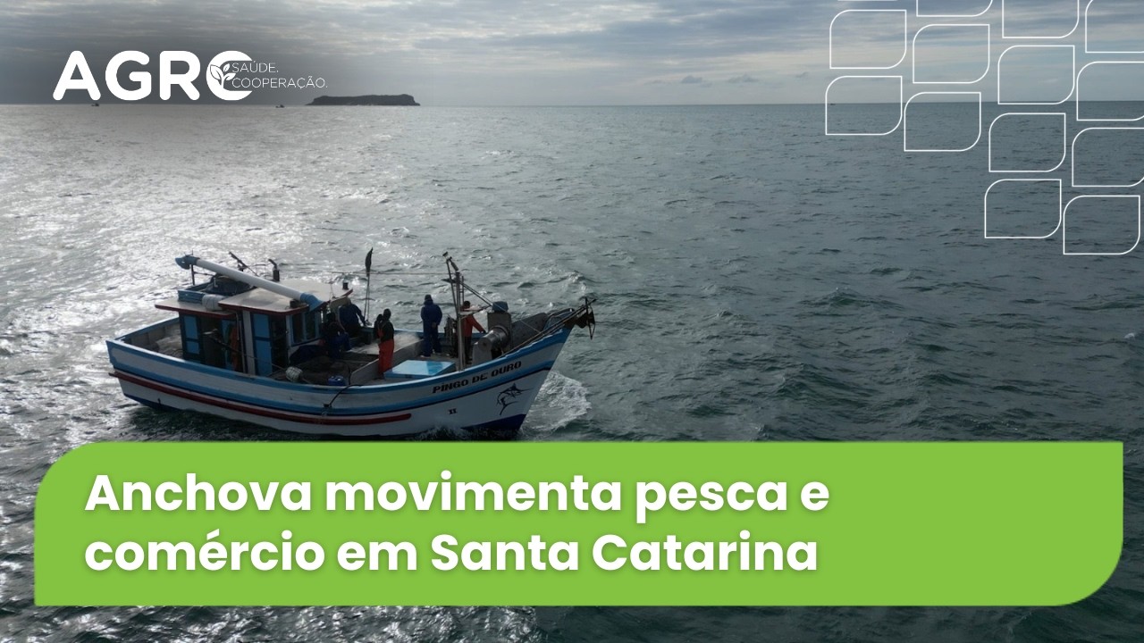 Agro Saúde e Cooperação – Pesca da Anchova