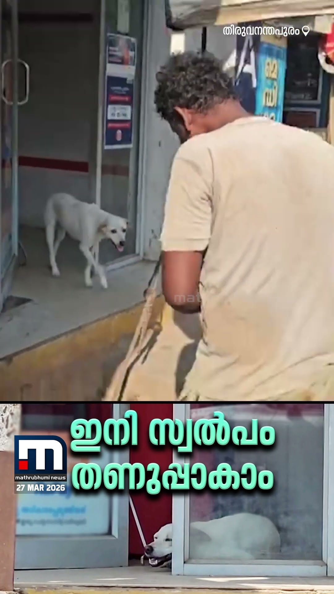 👌 വൈറൽ വീഡിയോസ് - ShareChat