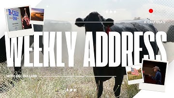 A Legacy of Antitrust Enforcement