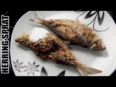 Video: Cara Memasak Ikan Herring Sprat Di Rumah