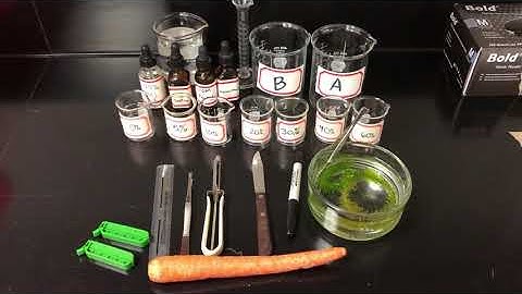 Lab 6 Diffusion & Osmosis Equipment