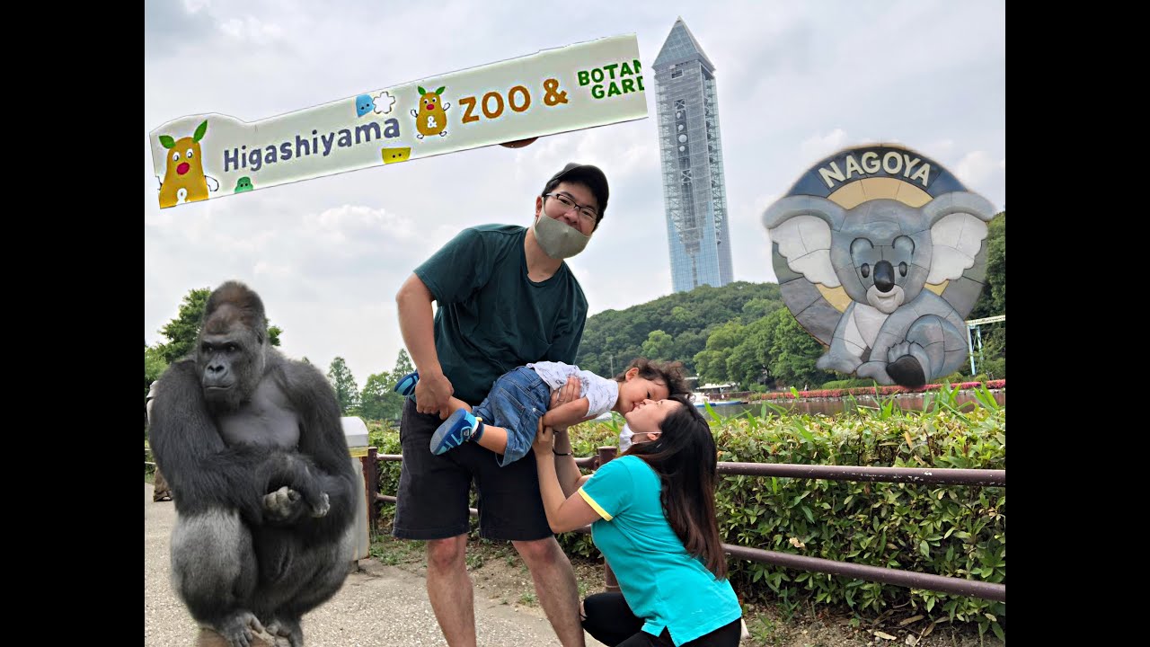 ¥500 only | HIGASHIYAMA ZOO and BOTANICAL GARDENS | Nagoya,Aichi Japan