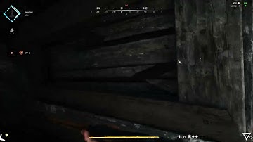 Hunt Showdown 1896  hit detection fail 2