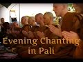 Evening chanting theravada buddhism in pali  abhayagiri buddhist monastery