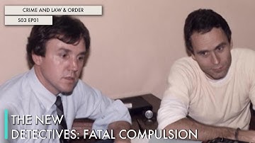The New Detectives: Fatal Compulsion