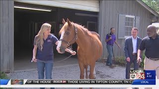 Fedex Freight Makes 25,000 Donation To He Southern Reins Center For Equine Therapy