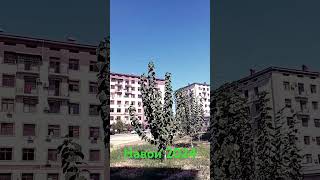 17 сентября 2024 г. Навои новостройки