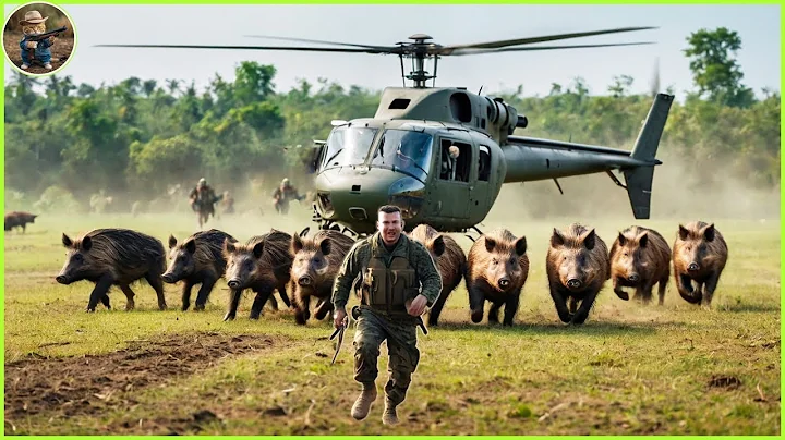 LIVE: How Do Hunters And American Farmers Deal With Millions Of Wild Boars By Helicopter