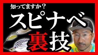 【秦拓馬】スピナーベイトの裏技！初級者から上級者も知っ得【バス釣り】巻き物