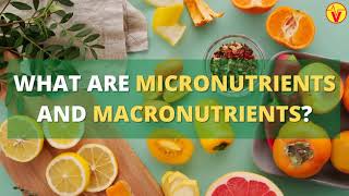 What Are Micronutrients And Macronutrients ? | VisitJoy