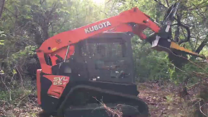 Property Restoration