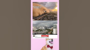 Source is "trust me bro" #short #funny #memes