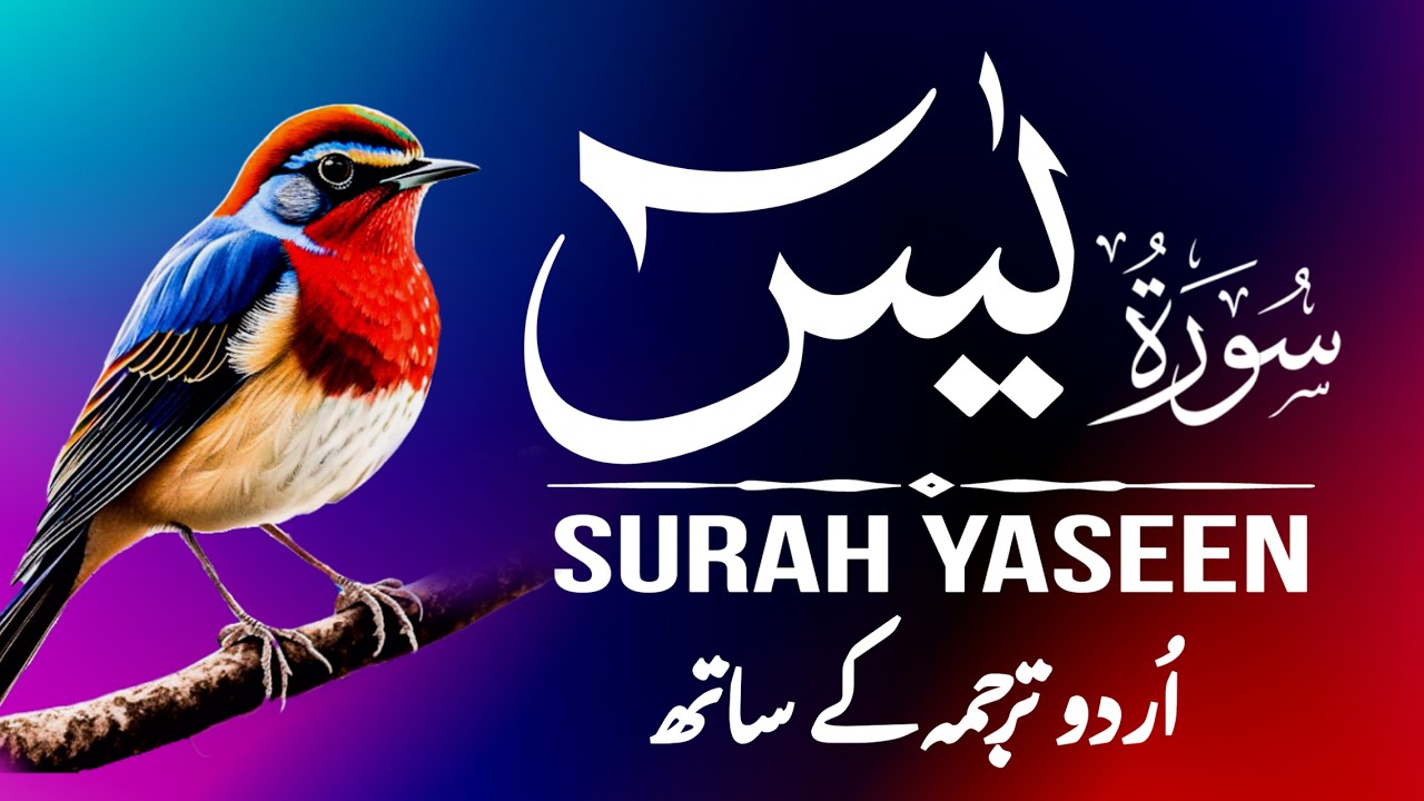Powerful Surah Yaseen Recitation with Urdu Translation | سورة يس | Episode - 595