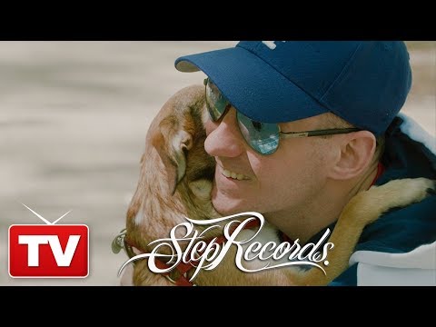 Wideo: Wsparcie! Mój pies próbuje zostać gwiazdą internetu