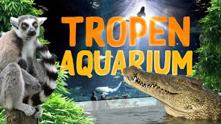 Tropen-Aquarium Hagenbeck (Hamburg) | Zoo Eindruck