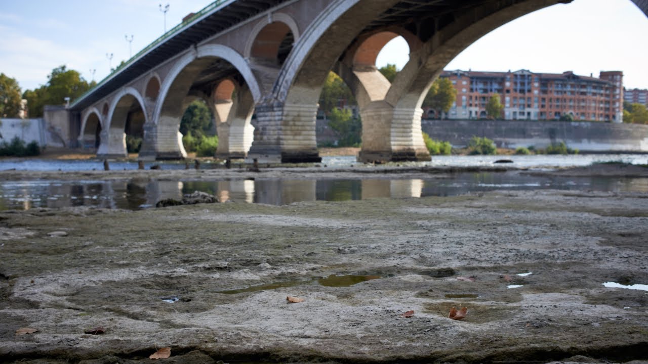 Drought alerts issued across Europe
