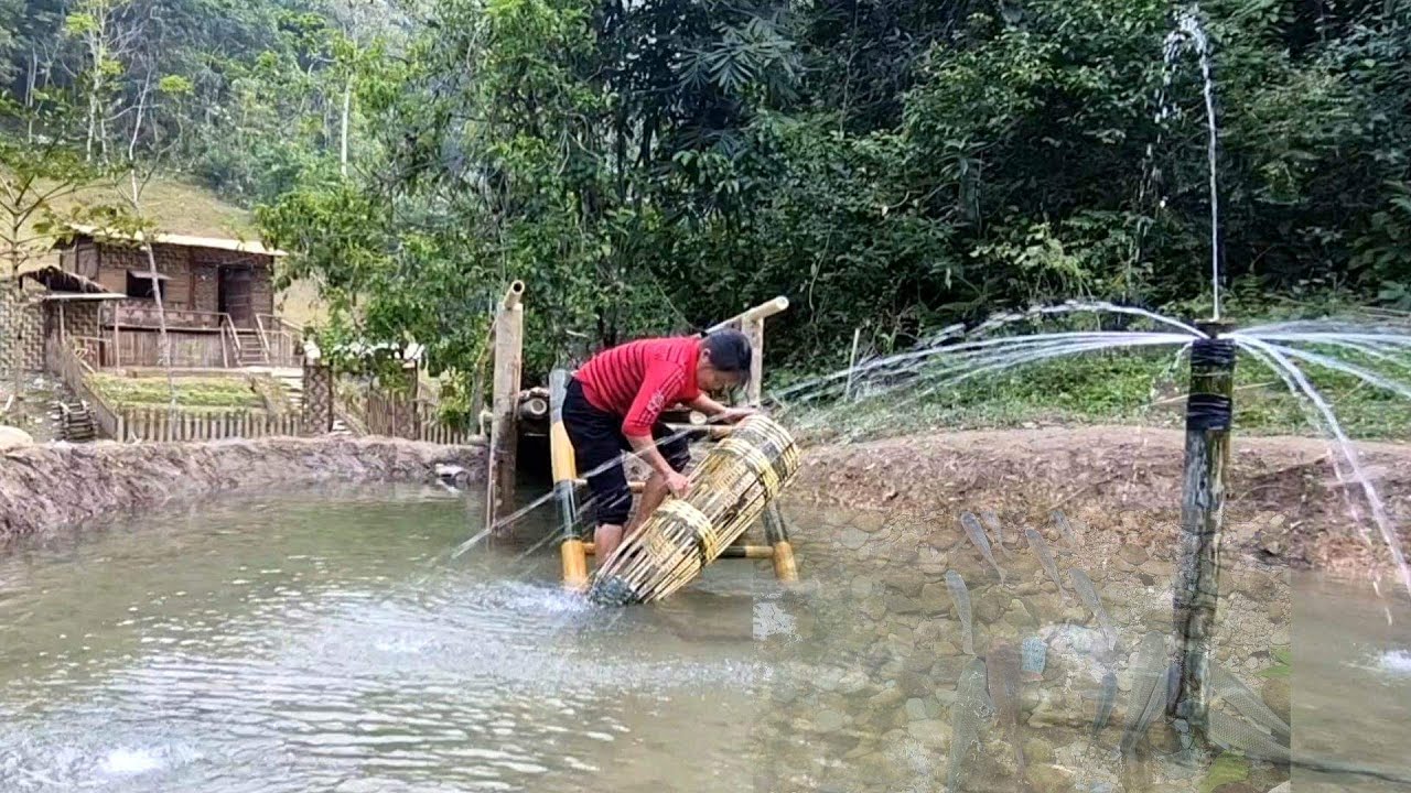 How to Dig a Fish Pond | Pond Design And Layout -Ep11 - YouTube
