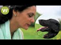 Animal communication  understanding how animals think and feel