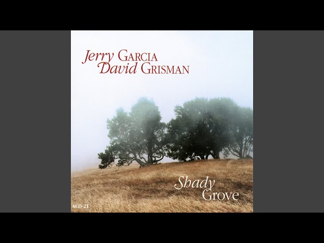 Jerry Garcia David Grisman - Down in the Valley