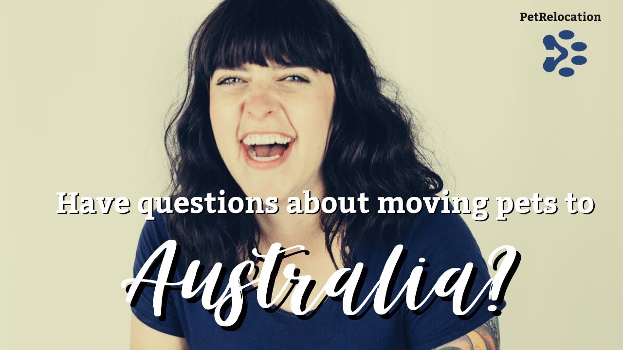 Moving Pets To Australia: Ask The Experts!