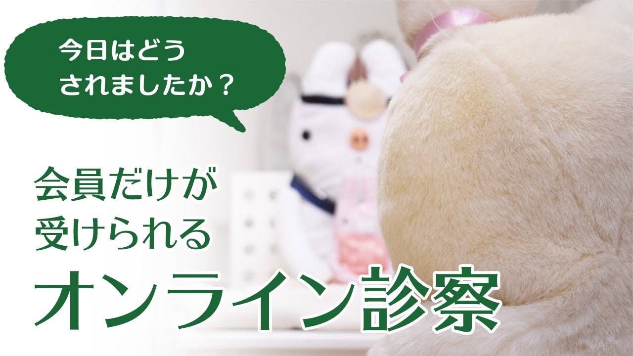 オンライン診察のイメージ