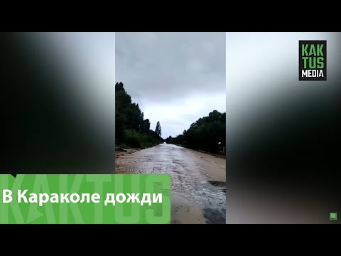 Video: Мейманга ылайык шаардык блок