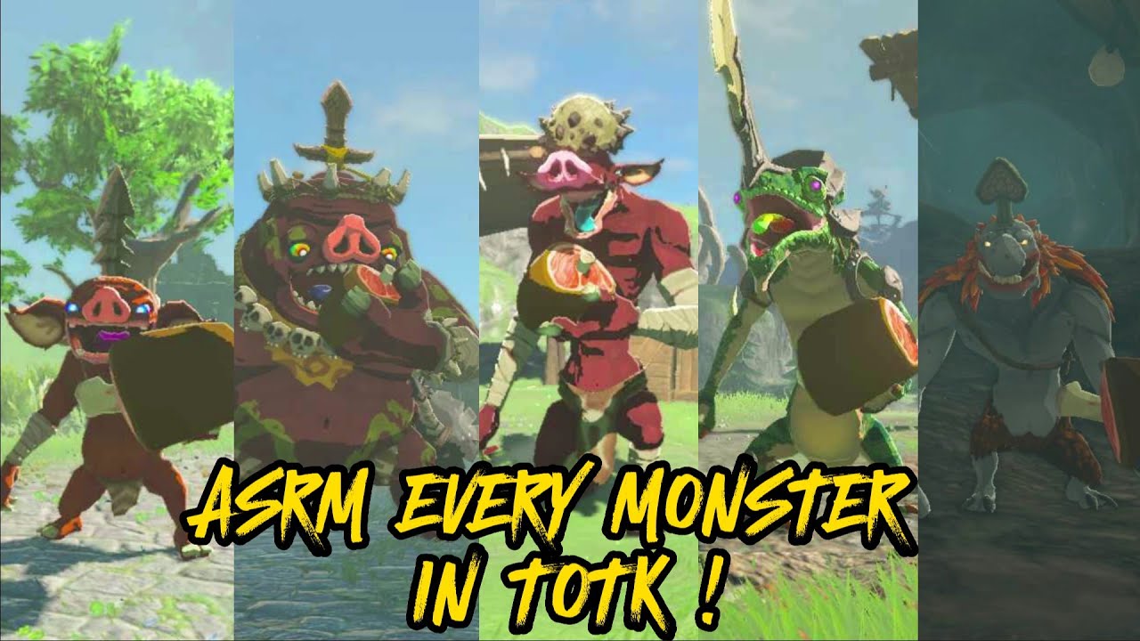 ASMR EVERY MONSTER IN TOTK !! (The Legend of Zelda: Tears of the ...