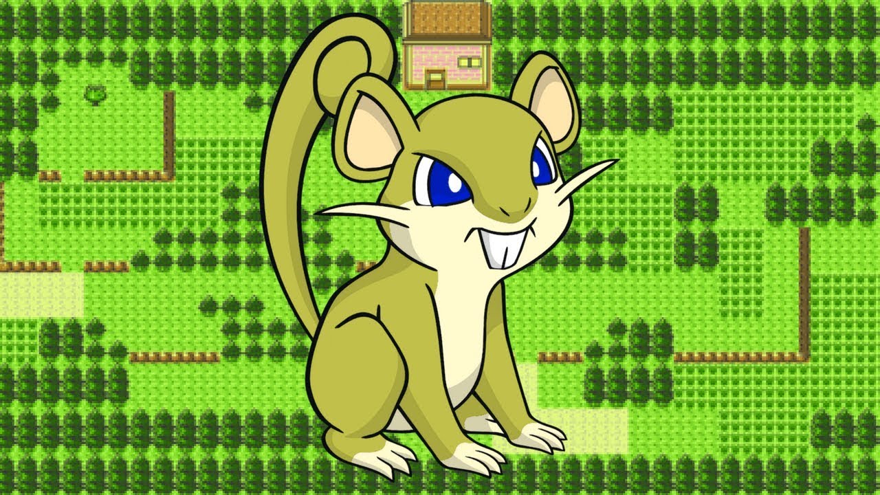 [FOYT] Random Shiny Rattata on Pokemon Crystal Virtual Console ! - YouTube