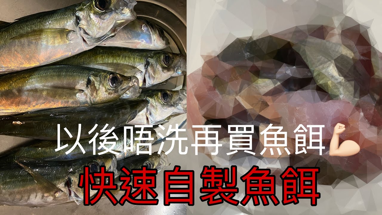 釣魚教學 如何自製魚餌 Youtube
