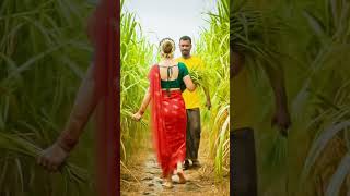 Village Rain Walk Asmr Romantic Monsoon Couple Peaceful Rain & Thunder For Sleep