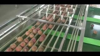passion fruit grading machine, pomegranate sorter