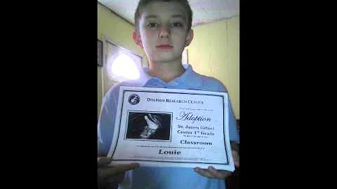 Louie's Journey
