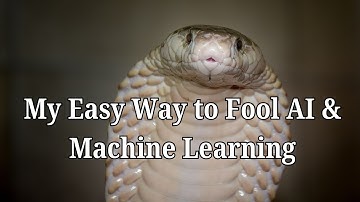 Attacks and Defenses in Robust Machine Learning 🐍 #ai