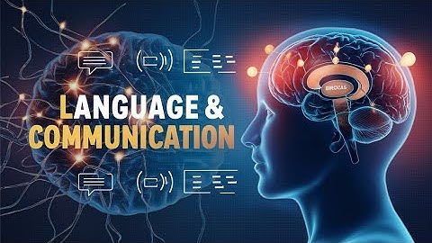 How the Brain Processes Language and Communication.
