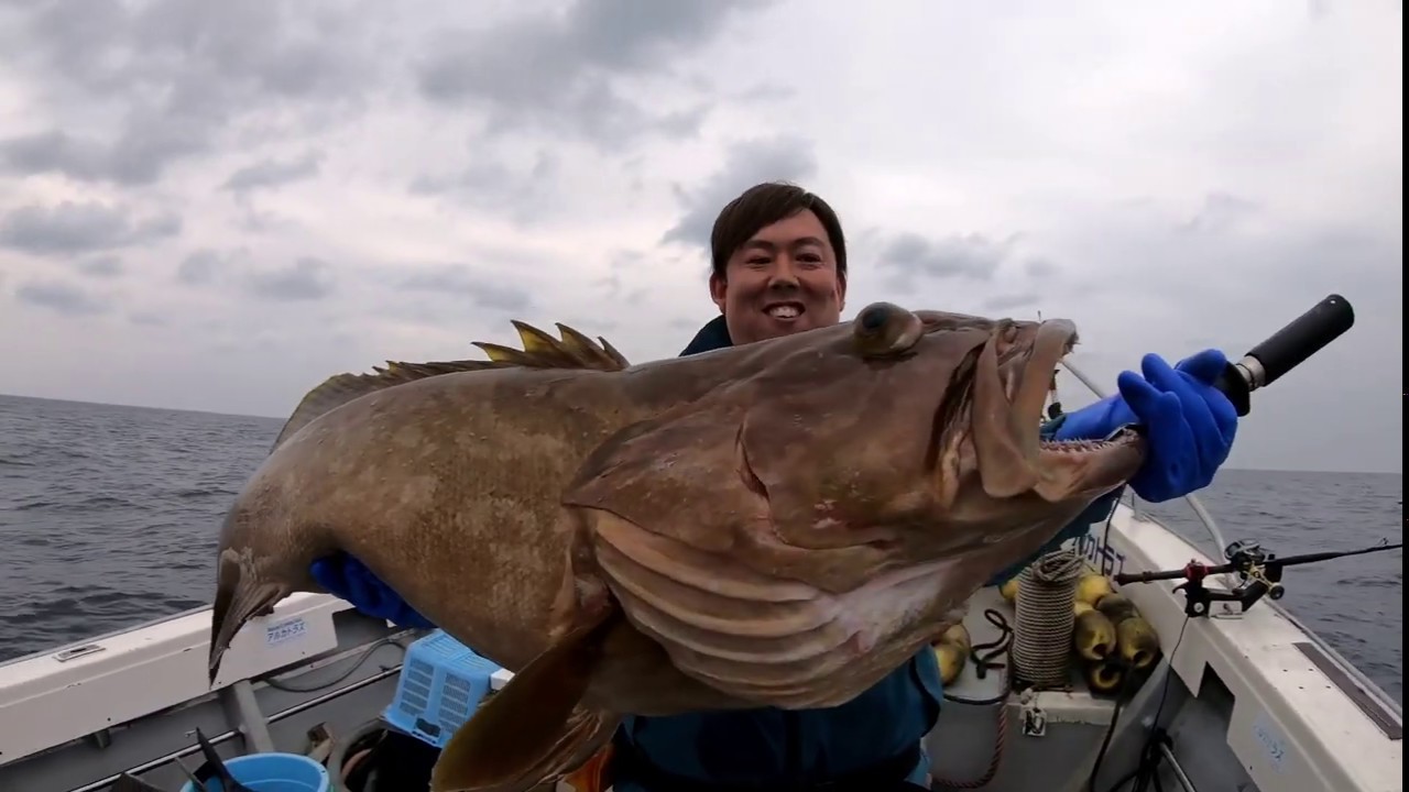 奄美大島 遠征釣行 泳がせ釣りにてクエ カンパチ連発 Youtube