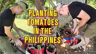 My kano husband planting his favorite tomatoes #filamcouple #foryou #provincelife #philippines