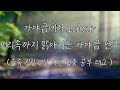 숲속에서 듣는 가야금 연주 10시간 연속듣기🌳⎮중간광고없음 ⎮ 머리속까지 맑아지는 힐링 명상 기치료 음악 및 영상, 스트레스 해소 음악, 긴장이완음악, 편안한 음악 (치유음악)