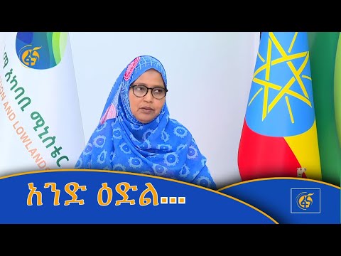 አንድ ዕድል…