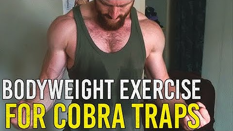 Bodyweight Exercise for Traps (Decline Inverted Rows)