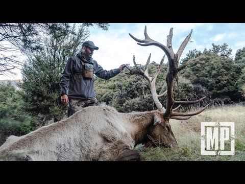 Video: Mark Peterin mirzəsi idi?