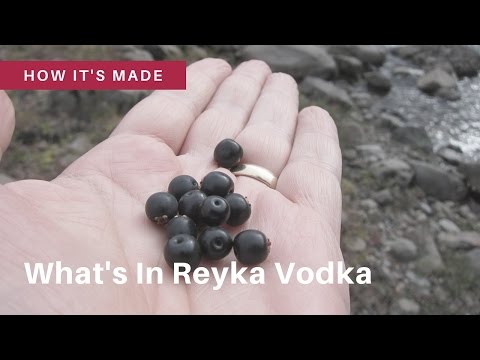 Video: Reyka Vodka Může Mít Nejúžasnější Lihovar Na Planetě